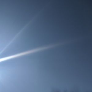 Meet your Posher, Nora